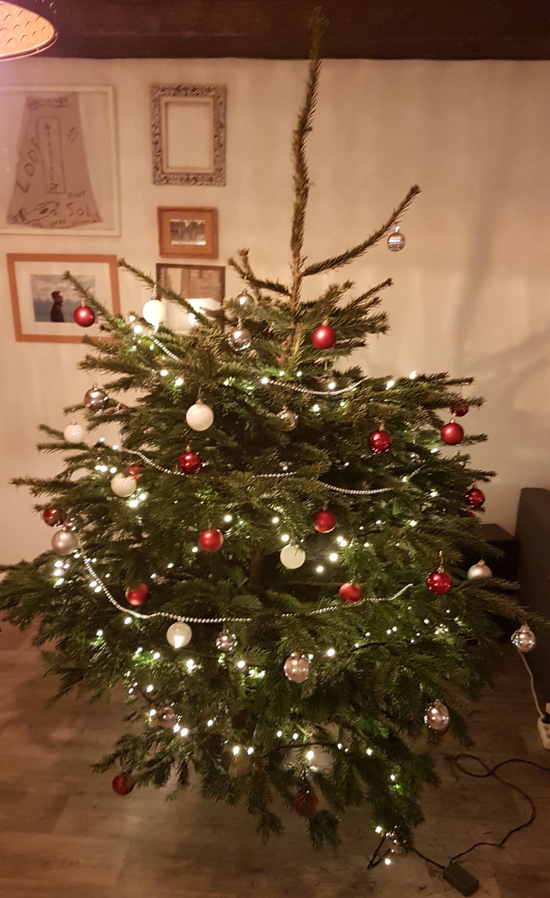 Vraag op tijd de ophaling van je kerstboom aan Geel FM